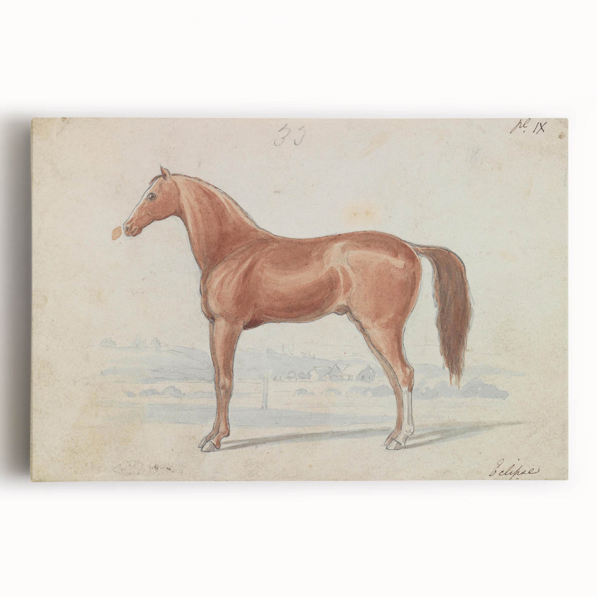 Vintage Horse Illustration - Elegant Animal Wall Art Print