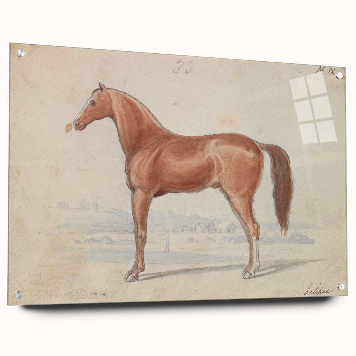 Vintage Horse Illustration - Elegant Animal Wall Art Print