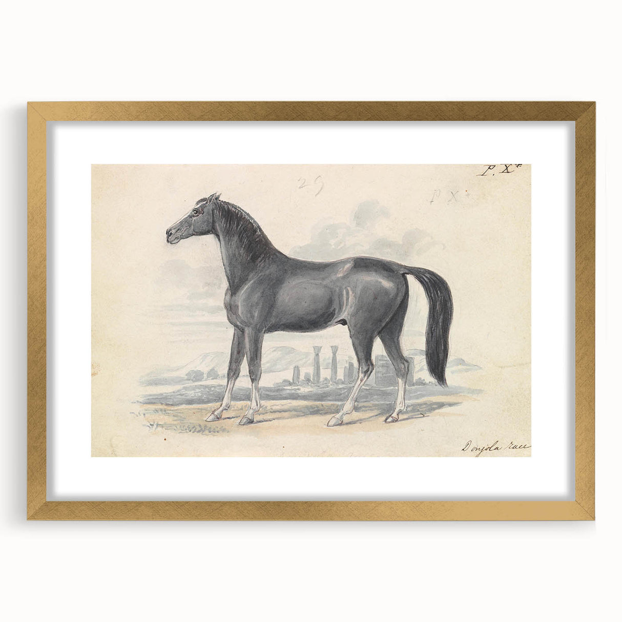 Vintage Black Horse Illustration - Elegant Animal Wall Art Print