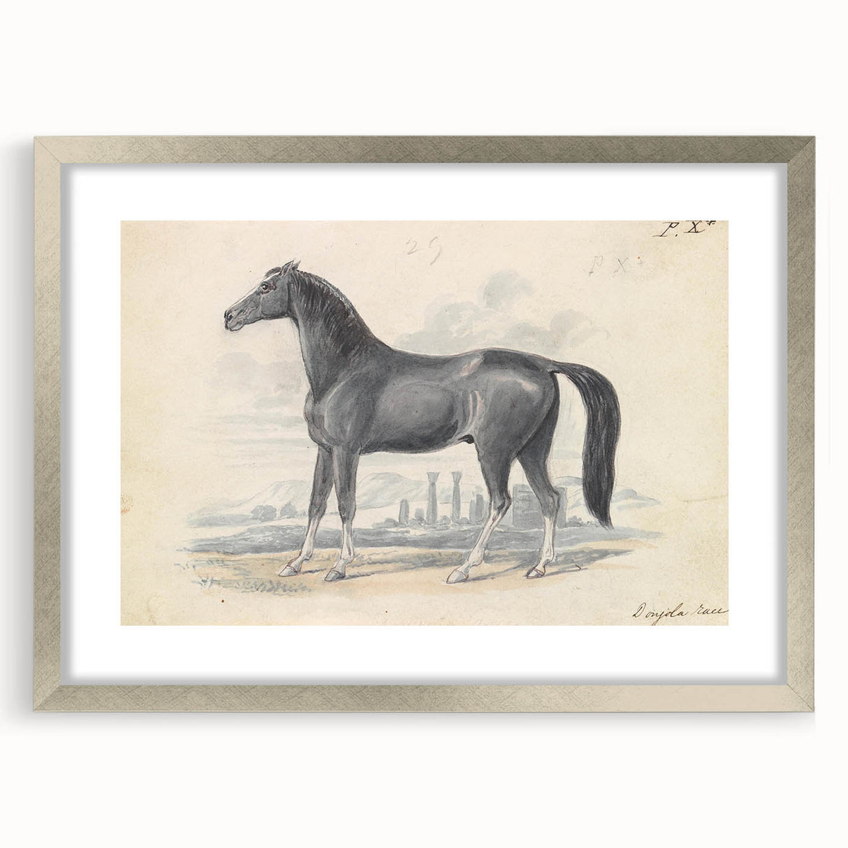 Vintage Black Horse Illustration - Elegant Animal Wall Art Print