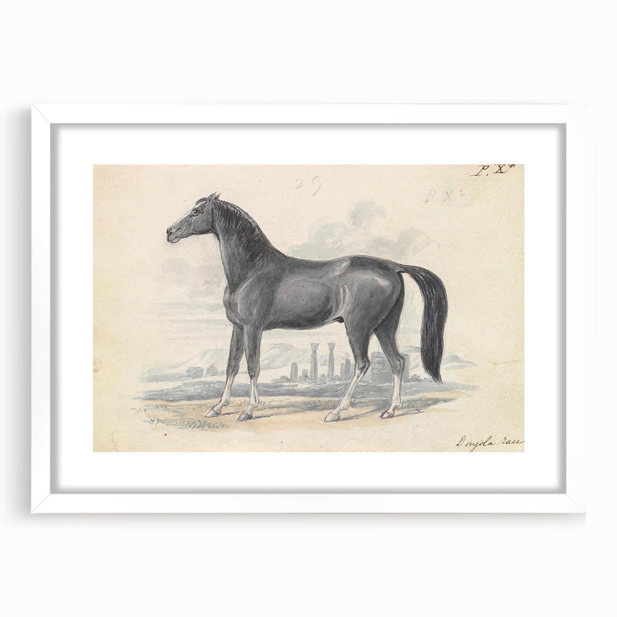 Vintage Black Horse Illustration - Elegant Animal Wall Art Print