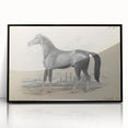 Vintage Black Horse Illustration - Elegant Animal Wall Art Print
