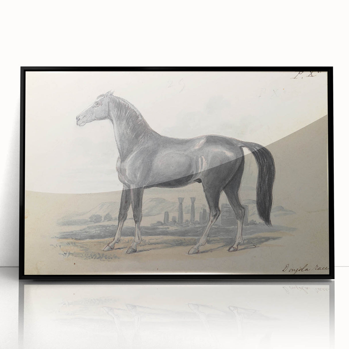 Vintage Black Horse Illustration - Elegant Animal Wall Art Print