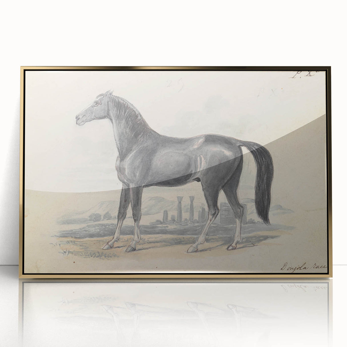 Vintage Black Horse Illustration - Elegant Animal Wall Art Print
