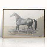 Vintage Black Horse Illustration - Elegant Animal Wall Art Print