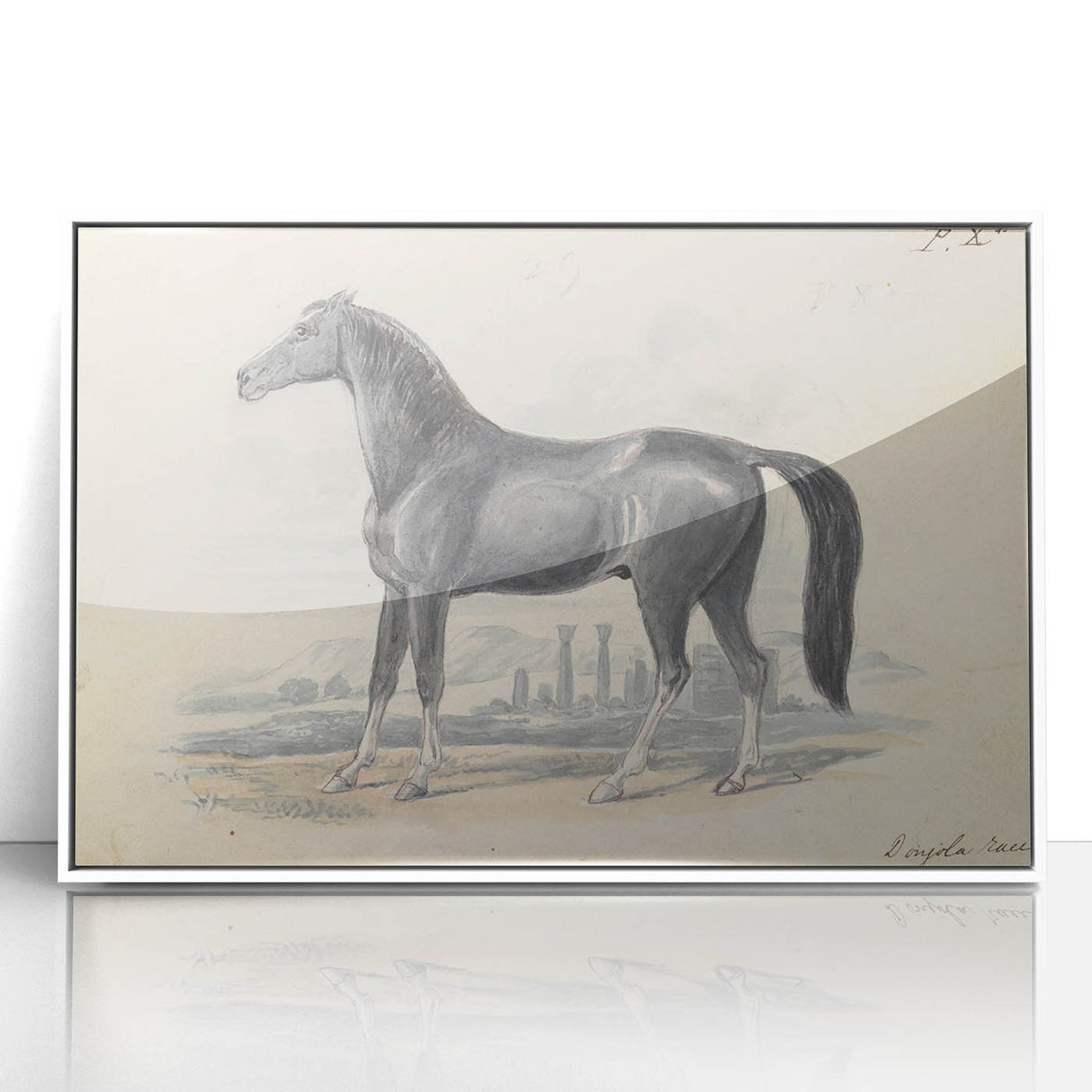 Vintage Black Horse Illustration - Elegant Animal Wall Art Print