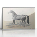 Vintage Black Horse Illustration - Elegant Animal Wall Art Print