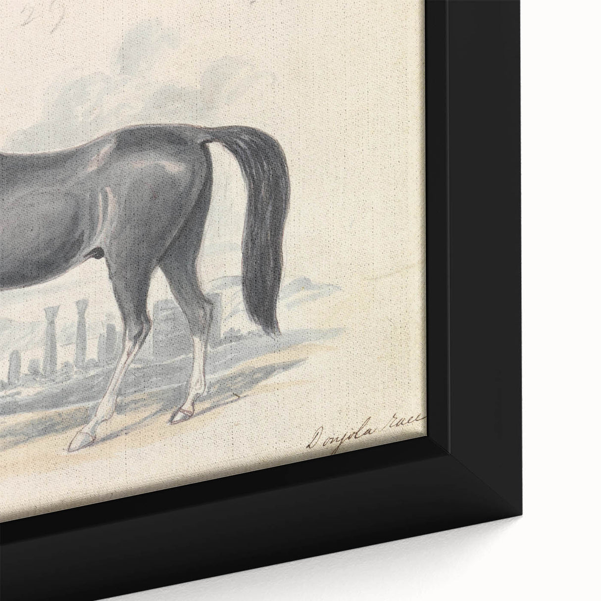 Vintage Black Horse Illustration - Elegant Animal Wall Art Print