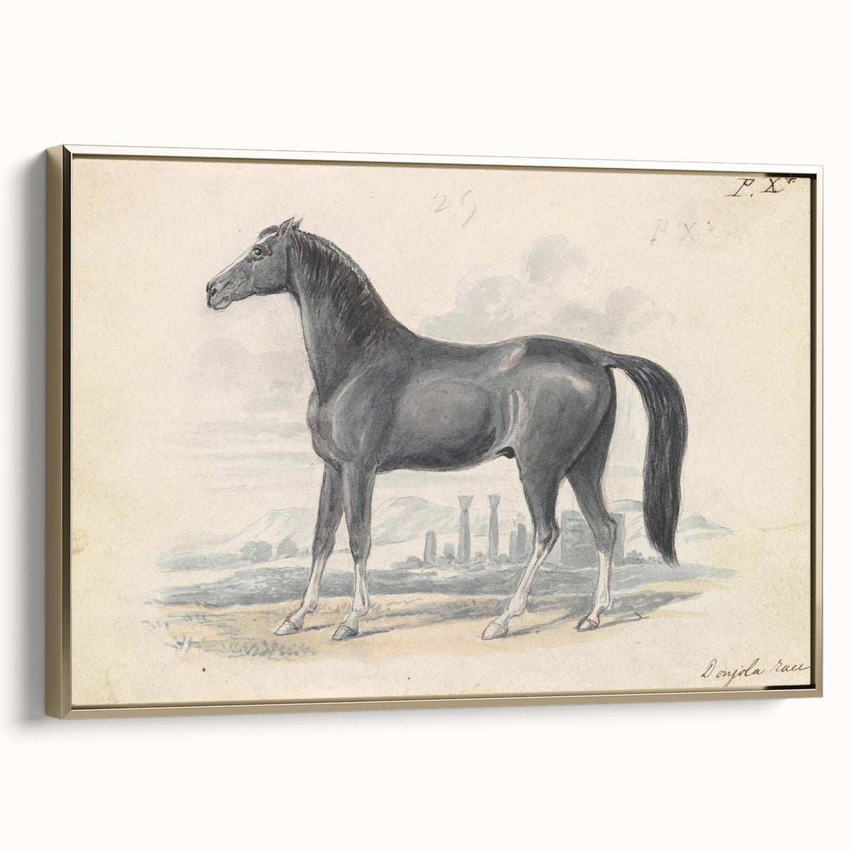 Vintage Black Horse Illustration - Elegant Animal Wall Art Print