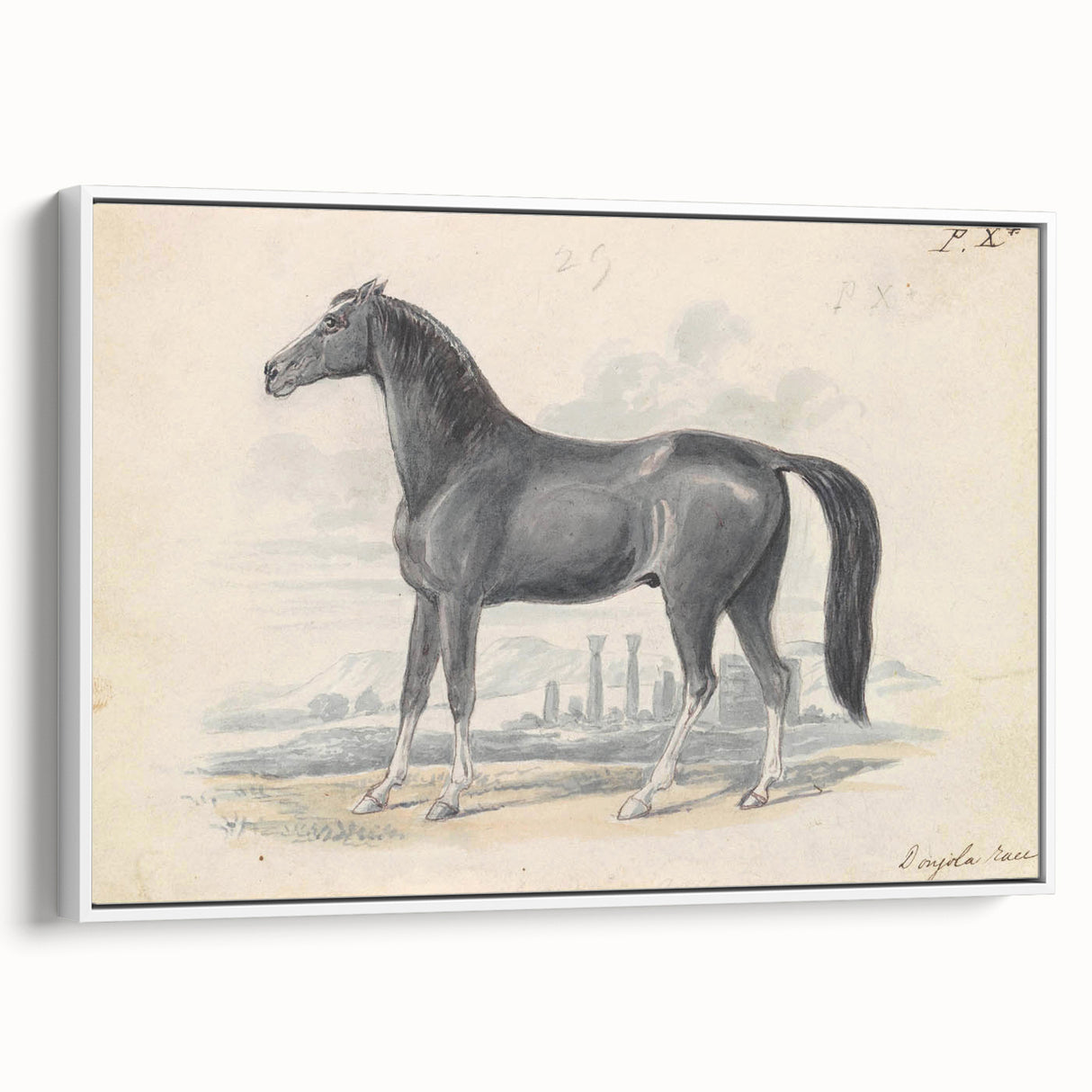 Vintage Black Horse Illustration - Elegant Animal Wall Art Print