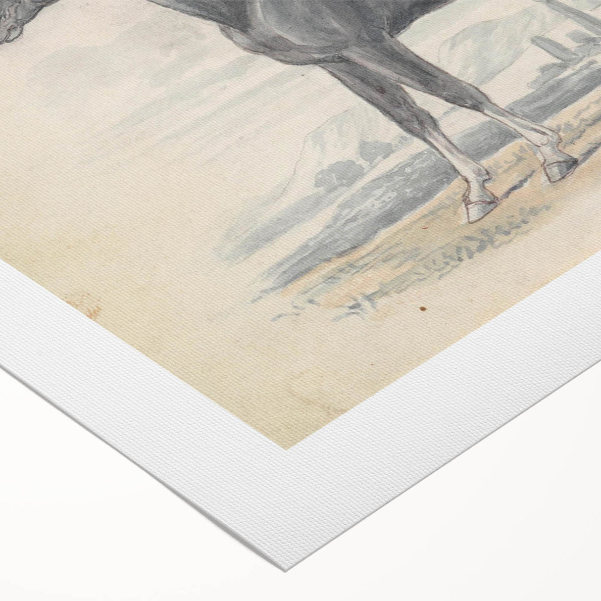 Vintage Black Horse Illustration - Elegant Animal Wall Art Print