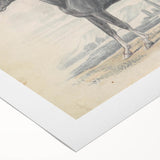 Vintage Black Horse Illustration - Elegant Animal Wall Art Print