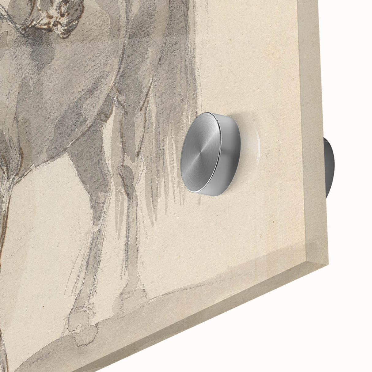 Vintage Horse Duo Illustration - Elegant Animal Wall Art Print