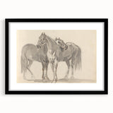 Vintage Horse Duo Illustration - Elegant Animal Wall Art Print