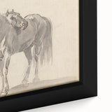 Vintage Horse Duo Illustration - Elegant Animal Wall Art Print