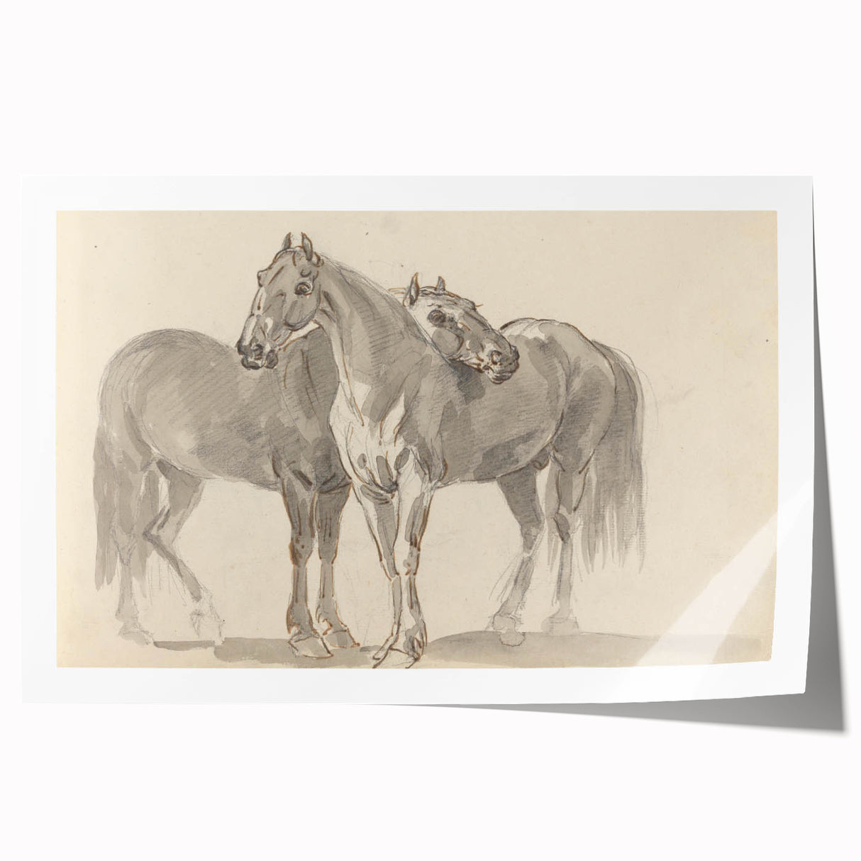 Vintage Horse Duo Illustration - Elegant Animal Wall Art Print
