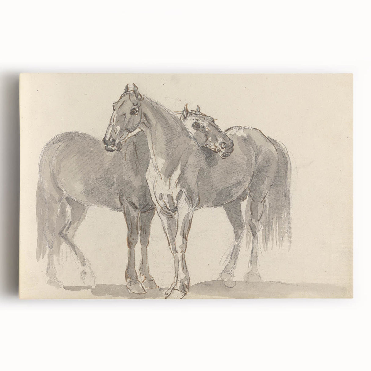 Vintage Horse Duo Illustration - Elegant Animal Wall Art Print