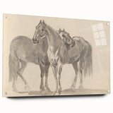 Vintage Horse Duo Illustration - Elegant Animal Wall Art Print