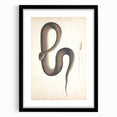 Vintage Animal Art - Retro Snake Illustration Print - Animal Wall Decor