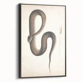 Vintage Animal Art - Retro Snake Illustration Print - Animal Wall Decor