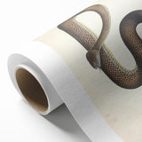 Vintage Animal Art - Retro Snake Illustration Print - Animal Wall Decor