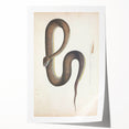 Vintage Animal Art - Retro Snake Illustration Print - Animal Wall Decor