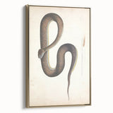 Vintage Animal Art - Retro Snake Illustration Print - Animal Wall Decor