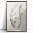 Vintage Animal Art: Spotted Shark Illustration Art Prints