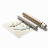 Vintage Animal Art: Spotted Shark Illustration Art Prints