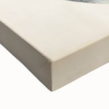 Vintage Animal Art: Spotted Shark Illustration Art Prints