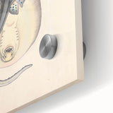 Vintage Animal Art: Oblong Stingray Illustration Art Prints