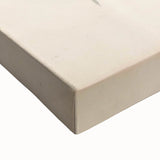 Vintage Animal Art: Oblong Stingray Illustration Art Prints