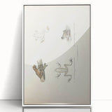 Vintage Animal Art: Bengal Frog Illustration Art Prints