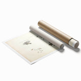 Vintage Animal Art: Bengal Frog Illustration Art Prints