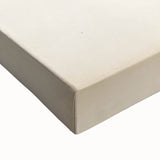 Vintage Animal Art: Bengal Frog Illustration Art Prints