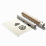 Vintage Animal Art: Ammonite Fossil Illustration Art Prints