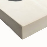 Vintage Animal Art: Ammonite Fossil Illustration Art Prints