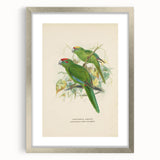 Vintage Animal Art: Parrot Illustration Art Print