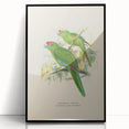 Vintage Animal Art: Parrot Illustration Art Print