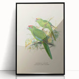 Vintage Animal Art: Parrot Illustration Art Print