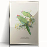 Vintage Animal Art: Parrot Illustration Art Print