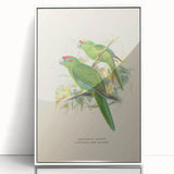 Vintage Animal Art: Parrot Illustration Art Print