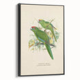 Vintage Animal Art: Parrot Illustration Art Print