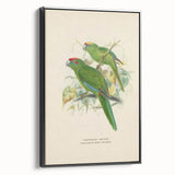 Vintage Animal Art: Parrot Illustration Art Print
