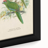Vintage Animal Art: Parrot Illustration Art Print