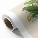 Vintage Animal Art: Parrot Illustration Art Print