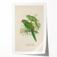 Vintage Animal Art: Parrot Illustration Art Print