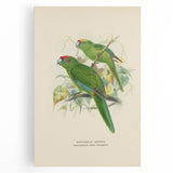Vintage Animal Art: Parrot Illustration Art Print