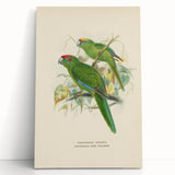 Vintage Animal Art: Parrot Illustration Art Print