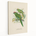Vintage Animal Art: Parrot Illustration Art Print